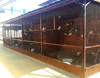 *Пансионат "Фея-2" Анапа