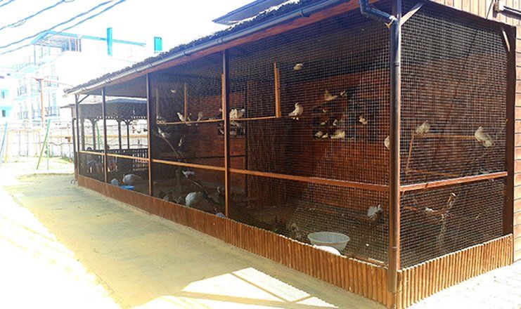 *Пансионат "Фея-2" Анапа